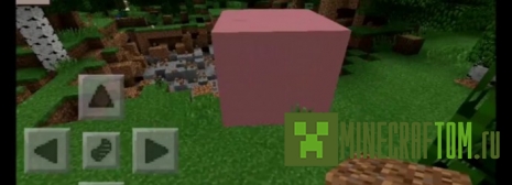 Мод Pigeorite для MCPE 0.11.1/0.11.0 Мод Pigeorite для MCPE 0.11.1/0.11.0
