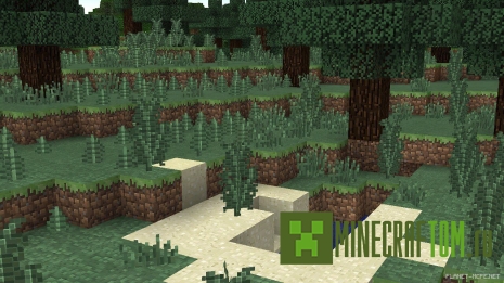 Текстуры Traditional Beauty (Традиционная красота)