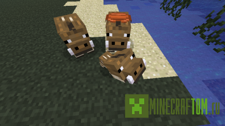 Wild Boars плагин (Дикие кабаны) версии 1.5.2 Майнкрафт Wild Boars плагин (Дикие кабаны) версии 1.5.2 Майнкрафт