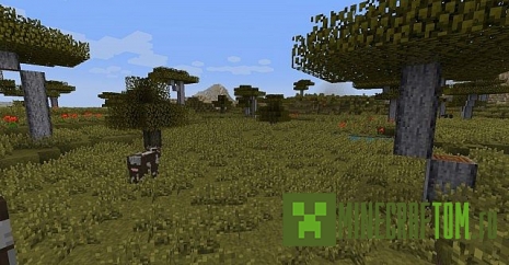 Текстуры Motions Revived (Возвращение действий) Текстуры Motions Revived (Возвращение действий)