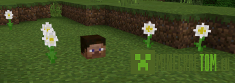 Мод Ultra Hardcore (Ультра Хардкор) для игры Minecraft PE Мод Ultra Hardcore (Ультра Хардкор) для игры Minecraft PE