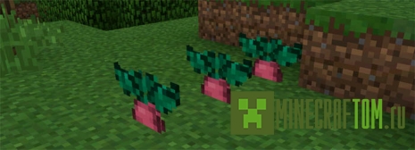 Мод ChocoCraft для портативной версии Майнкрафт ПЕ Мод ChocoCraft для портативной версии Майнкрафт ПЕ