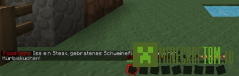 Плагин FoodTipps (Советы по еде) для версии 1.6.4 Майнкрафт Плагин FoodTipps (Советы по еде) для версии 1.6.4 Майнкрафт