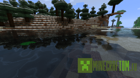 Мод Water Shader (Шейдер воды) для версии 1.6.1 Майнкрафт Мод Water Shader (Шейдер воды) для версии 1.6.1 Майнкрафт