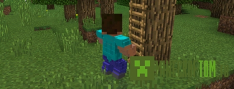 Мод Animated+ (Анимация плюс) для портативной версии Minecraft Мод Animated+ (Анимация плюс) для портативной версии Minecraft