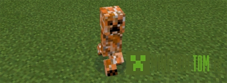 Мод Elemental Creepers (Простенькие криперы) для Майнкрафт ПЕ Мод Elemental Creepers (Простенькие криперы) для Майнкрафт ПЕ