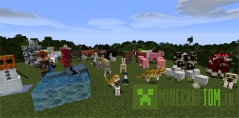 Текстуры A Brave New World (Новый храбрый мир) версии 1.8 Minecraft Текстуры A Brave New World (Новый храбрый мир) версии 1.8 Minecraft