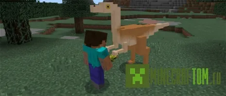 Мод Gallimimus для версии 0.17.0 игры Minecraft PE Мод Gallimimus для версии 0.17.0 игры Minecraft PE