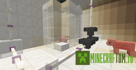 Карта When Pigs Take Over (Когда свиньи становятся главными)