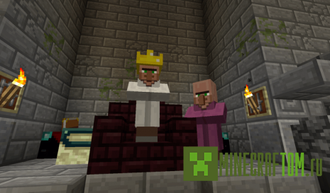 Карта Lady and The Tiger (Леди и тигр) для игры Майнкрафт