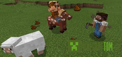 Мод Poop для версии 1.1.0 Майнкрафт ПЕ