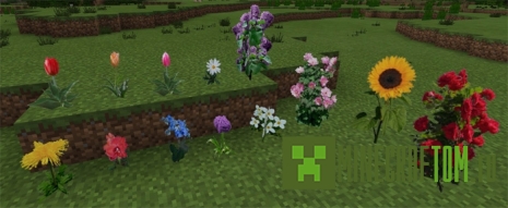 Текстуры Better Grass (Лучшая трава) для версии 1.0.0 Майнкрафт ПЕ