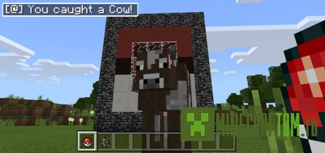 Карта Poke Balls для версии 1.1.0 MCPE Карта Poke Balls для версии 1.1.0 MCPE