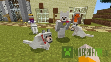 Карта Dogs (Собаки) для версии 1.1.0 Майнкрафт ПЕ Карта Dogs (Собаки) для версии 1.1.0 Майнкрафт ПЕ