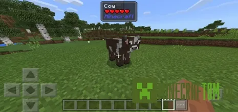 Мод What Am I Looking At (На что я смотрю) для 1.1 MCPE Мод What Am I Looking At (На что я смотрю) для 1.1 MCPE