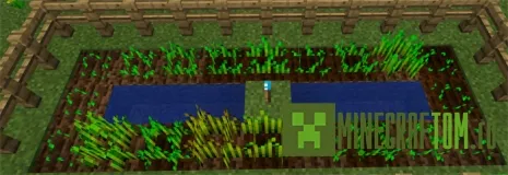 Мод Torcherino – The Technical Torch (Технический факел) 0.16.0 Мод Torcherino – The Technical Torch (Технический факел) 0.16.0