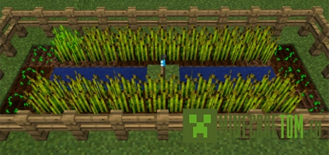 Мод Torcherino – The Technical Torch (Технический факел) 0.16.0 Мод Torcherino – The Technical Torch (Технический факел) 0.16.0