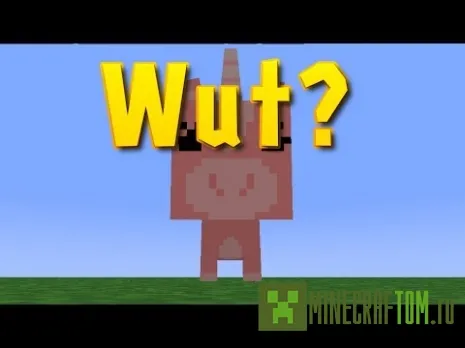 Карта WUT? для Майнкрафт