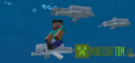 Мод Controllable Rideable Dolphins (Ездовые дельфины) Мод Controllable Rideable Dolphins (Ездовые дельфины)
