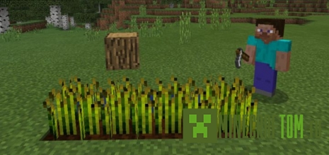 Текстуры Minecraft Block Heads (Головы блоки)