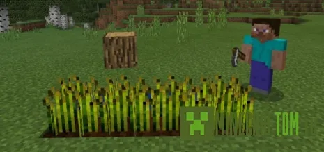 Текстуры Minecraft Block Heads (Головы блоки) Текстуры Minecraft Block Heads (Головы блоки)