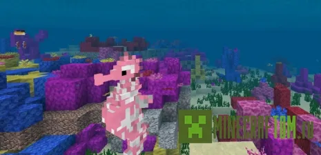 Текстуры Hippocampus (Морской конек) MCPE