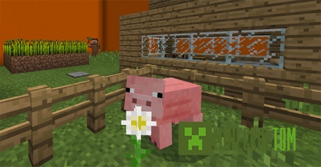 Карта Find The Button (Найти кнопку) MCPE Карта Find The Button (Найти кнопку) MCPE