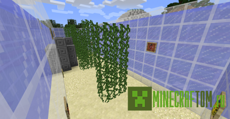 Карта Find The Button: World Tour (Найти кнопку: мировой тур)