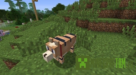 Текстуры Pokemobs (Мобы Покемона) Текстуры Pokemobs (Мобы Покемона)