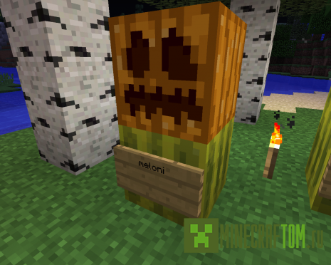 Карта The Wizards Adventure (Приключения волшебника)