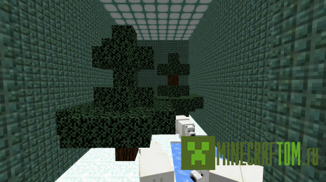 Карта Aquatic Update (Водное обновление)