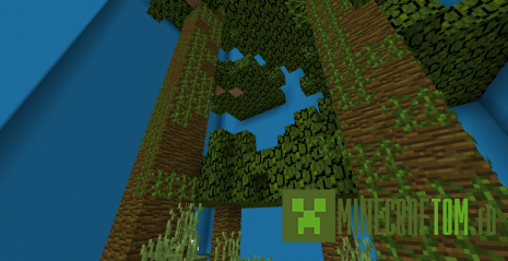 Карта Peter100s Half a Heart Trial (Пол сердца Питера)