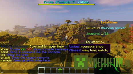 Плагин In-game Console (Игровая консоль)