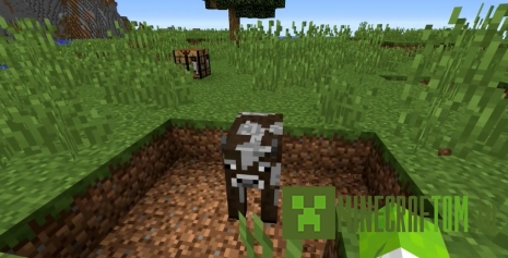 Мод Face Cow (Фальшивая корова) Мод Face Cow (Фальшивая корова)