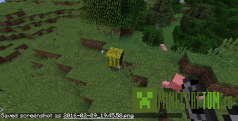 Мод Angry Melons (Злые дыни)