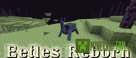 Мод Eetles Reborn (Возрождение Итлес) Мод Eetles Reborn (Возрождение Итлес)