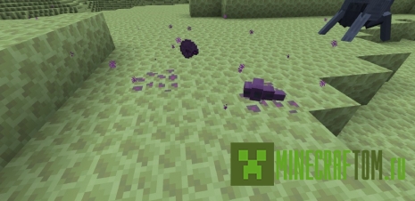 Мод Eetles Reborn (Возрождение Итлес) Мод Eetles Reborn (Возрождение Итлес)