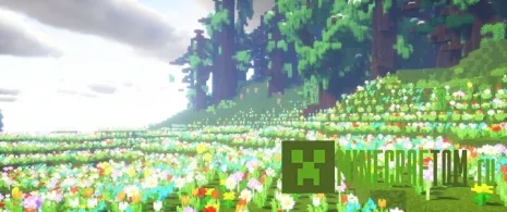 Текстуры Vibrancy Veasons