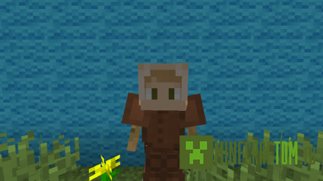 Карта The Pumpkin Patch (Тыквенная Накладка)