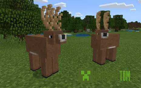 Мод AnimaCraft (Животный) Мод AnimaCraft (Животный)
