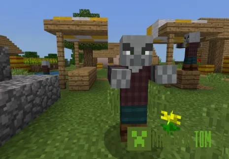 Мод Village&Pillage (Деревня и грабёж) Мод Village&Pillage (Деревня и грабёж)