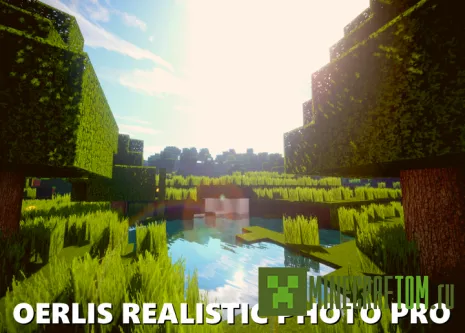 Текстуры Oerlis Realistic Photo Pro (Фото реализм Оерлис) Текстуры Oerlis Realistic Photo Pro (Фото реализм Оерлис)