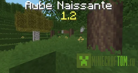 Текстуры Aube Naissante