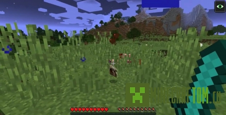 Мод HelldogMadness (Привет сумасшествие) Мод HelldogMadness (Привет сумасшествие)