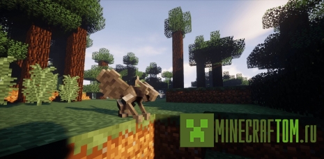 Мод Cathedral (Собор)