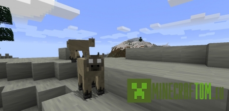 Текстуры Don’t Starve (Не голодать)