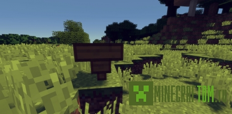 Мод Whopper (Ложь) Мод Whopper (Ложь)