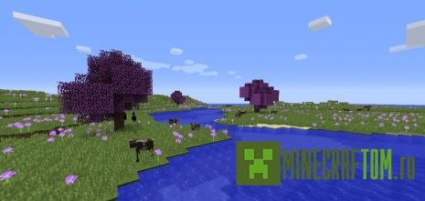 Мод Novam Terram (Новая земля) Мод Novam Terram (Новая земля)