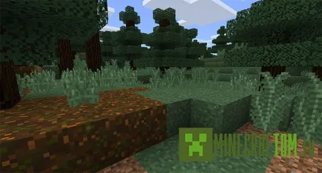 Текстуры Simple Sides (Простые стороны)