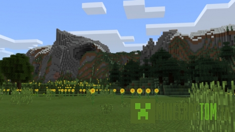 Текстуры Simple Sides (Простые стороны)